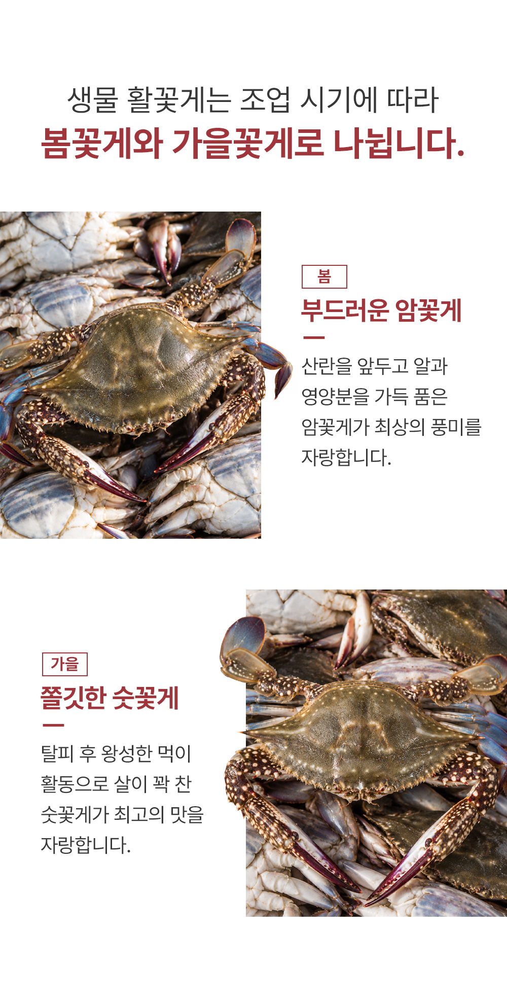 웨이브잇 상세페이지_6.JPG